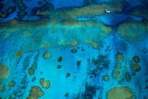 Aerial view of patch coral reefs off Walker's Cay, Bahamas