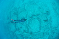 Snorkler swimming over Bimini Road, Bahamas - blocks of natural beach rock or a lost city?
