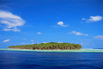 Pulo Ana Island, Southwest Is group, Palau, Micronesia, West Pacific