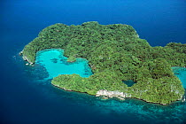 Aerial view of Rock Island, Palau, Western Caroline Is, Micronesia, West Pacific