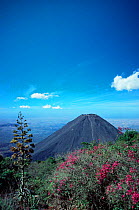 Izaco volcano, El Salvador, Central America