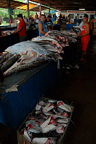Fish market in Santarem, Para State, Brazil.