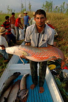 Freshly caught Pirarucu {Arapaima gigas}. Para State, Brazil.