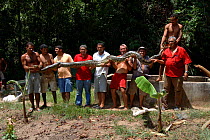 Local people holding a 5m long Anaconda {Eunectes murinus}. Para State, Brazil.
