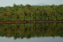 Arapiuns river in the dry season. Para state, Brazil.