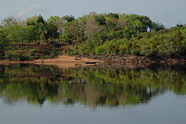 Arapiuns river during the dry season, Para state, Brazil.