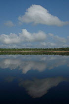 Arapiuns river during the dry season, Para state, Brazil.