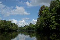 Maro River. Para State, Brazil.