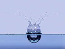 Large drop of water creates bubble above hemispherical depression.