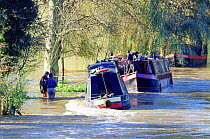 Barges on flooded River Wey, Guildford. Surrey, UK.
