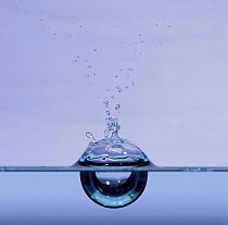 Water droplet landing in still water showing hemispherical depression.
