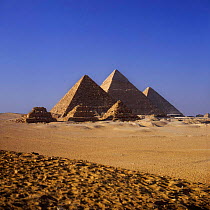The Pyramids of Giza, Eygpt.