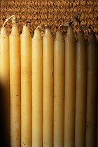 Spermaceti candles made from Sperm whale wax, Whaler's village museum, Hawaii