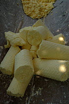 Cassava / Manioc {Manihot esculenta} flour, Para State, Brazil.