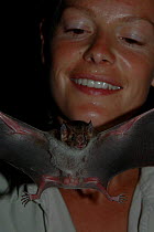 Kate Humble with Vampire bat {Desmodus rotundus} for making of BBC series 'Amazon Abyss