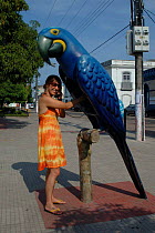 Hyacinth macaw public telephone booth. Santarem, Brazil.