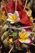 Hindu flower offering in a temple in Ubud. Bali, Indonesia.