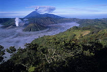 Tengger volcanic crater. Bromo-Tengger-Semeru National Park, Java, Indonesia.