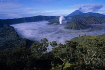 Tengger volcano crater + Gunung (Mt.) Semeru + Gunung Bromo. Java, Indonesia.