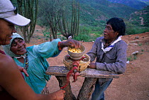 Tarahumara Indians showing tourists how to process corn. Chihuahua, Mexico.