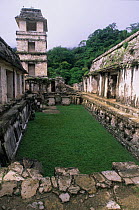 The Palace + courtyards at Palenque archaeological site, Mexico.
