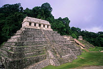 The Temple of the Inscriptions. Tomb of Pakal. Palenque archaeological site,