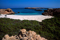Sea turtle nesting grounds at Diymaniat Island nature reserve, Oman