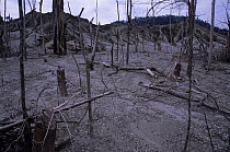 Forest destruction. Burnt for gravel excavation. Sultanate of Brunei.