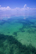 The tropical waters of Ascension Bay, Sian Ka'an Biosphere Reserve, Mexico.