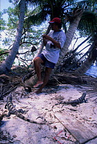 Man and Land iguanas, Sian Ka'an Biosphere Reserve, Mexico.