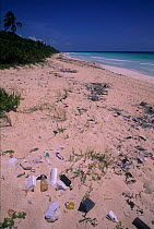 Rubbish washed up onto beach, Sian Ka'an Biosphere Reserve, Mexico.
