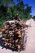 Old local man wheeling firewood through Sian Ka'an Biosphere Reserve, Mexico.