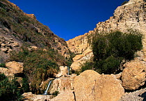 Waterfall in Wadi David, Ein Gedi, Israel.