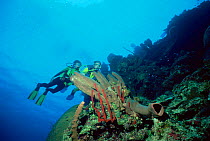 Divers diving near sponges at Bloody Bay Wall, Little Cayman Island