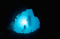 Diver descends into 'Angelfish Blue Hole' off Georgetown, Exuma, Bahamas