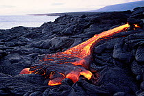 Hot pahoehoe lava flowing from Kilauea Volcano onto Lae'apuki Bench, Hawaii Volcanoes National Park