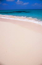 Salt Cay beach, Turks and Caicos Islands, Caribbean