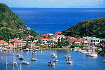 Boats in harbour, St Barts, Caribbean