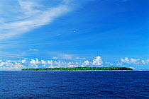 Merir Island, Palau, Micronesia