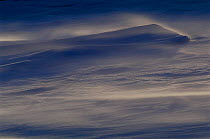 Snow drifting in storm, Ellesmere Island, Canada