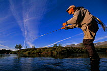 Fly-fishing for trout, Ammarnas, Vindelfjallen NR, Lapland, Sweden.