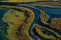 Aerial view of The Rapa River Delta, Sarek NP, Lapland, Sweden.