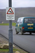 Road sign warning about European river otters (Lutra lutra) crossing the road, UK