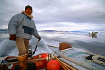 Inuit narwhal hunter, Qaanaaq, Greenland.