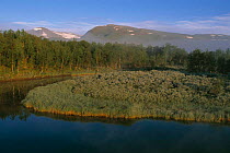 Mountain landscape, Laiva valley, Vindelfjallen NR, Lapland, Sweden.