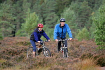 Mountain bikers on forest track, Cairngorms National Park, Scotland, UK.