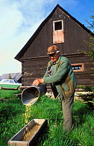 Ex-hunter / forester putting out food for bear watching tourism, Slovakia.