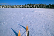 Cross-country skiing, Varmland, Sweden