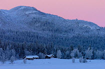 Houses in mid winter arctic light, -40C, Lapland, Vindelfjallen NR, Sweden