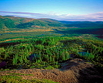 Upper Lena plateau in the mountains above Lake Baikal. Russia. Baikalo-Lensky Zapovednik, Russia.